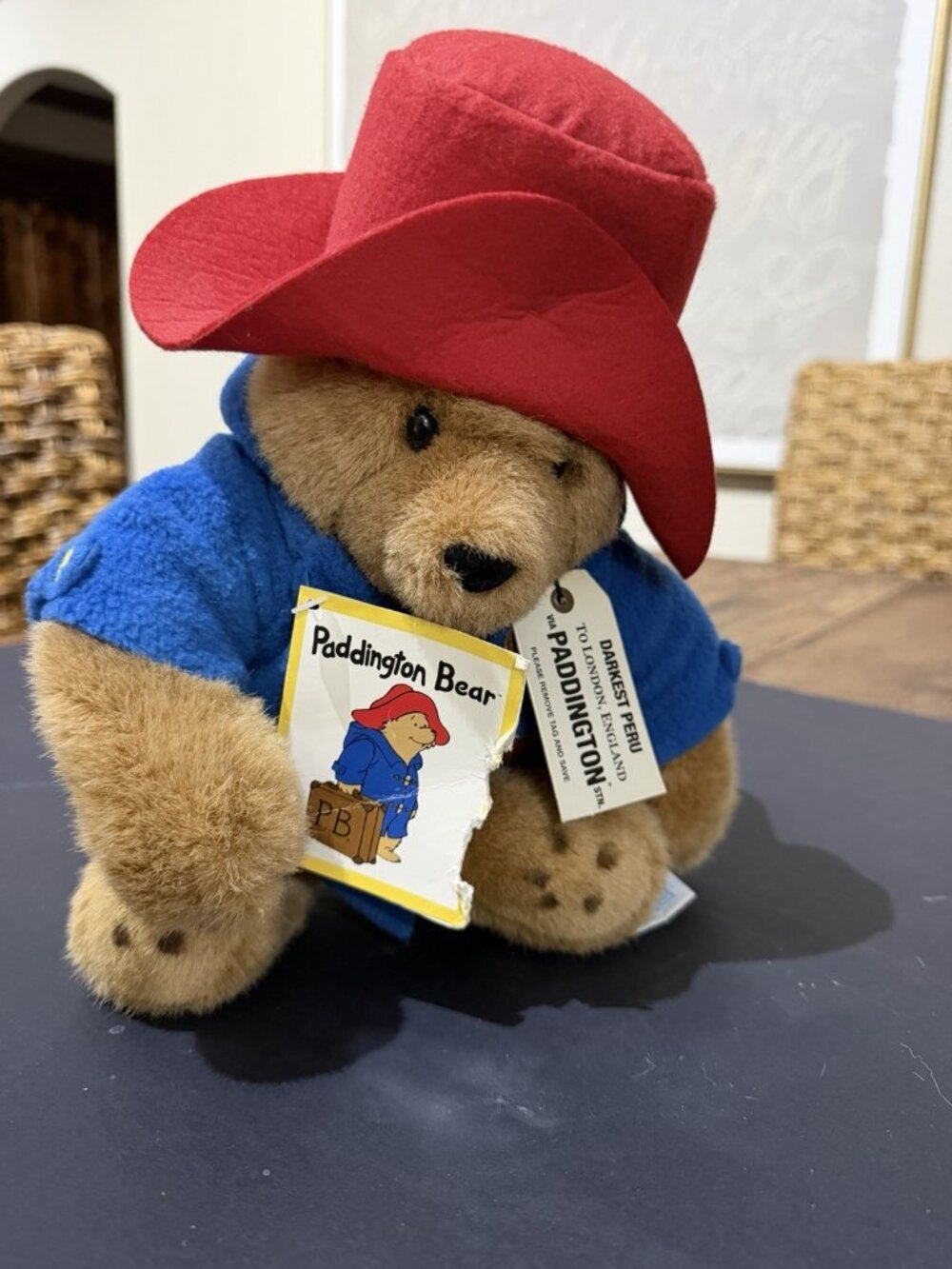 Vtg 1999 Paddington Bear Darkest Peru Eden Toys 10" Teddy Bear With Tags Plush